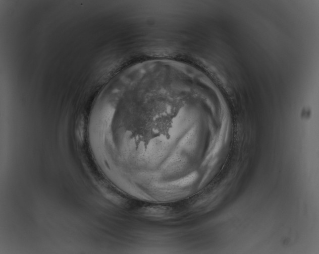 X0000089370069200707131646