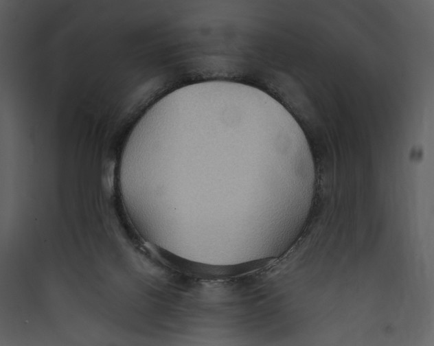 X0000089370070200707131646