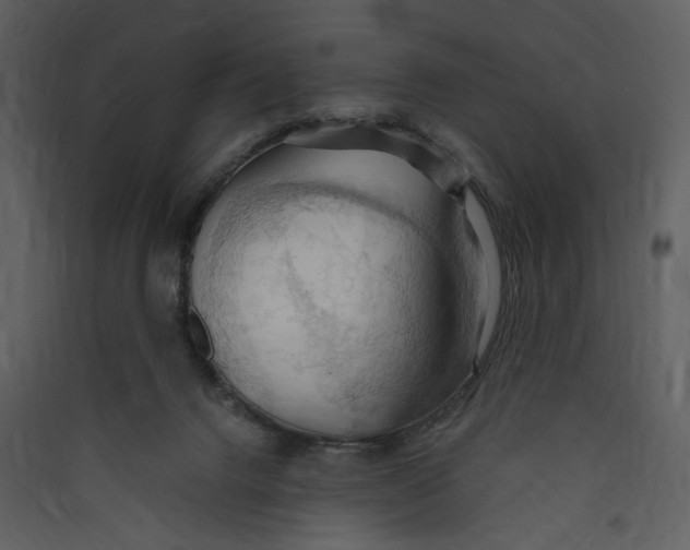 X0000089370072200707131646