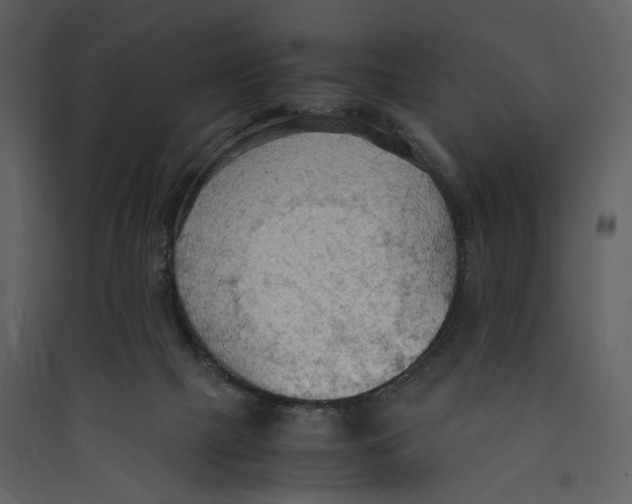 X0000089370073200707131646