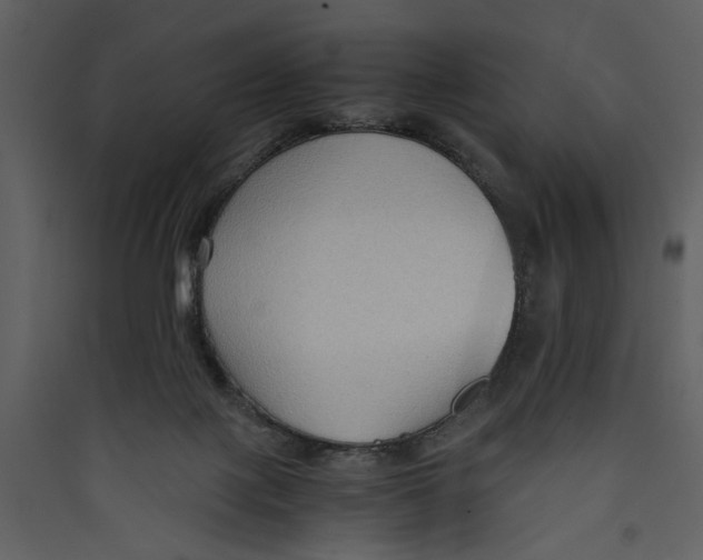 X0000089370075200707131646