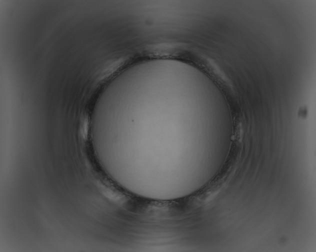 X0000089370076200707131646