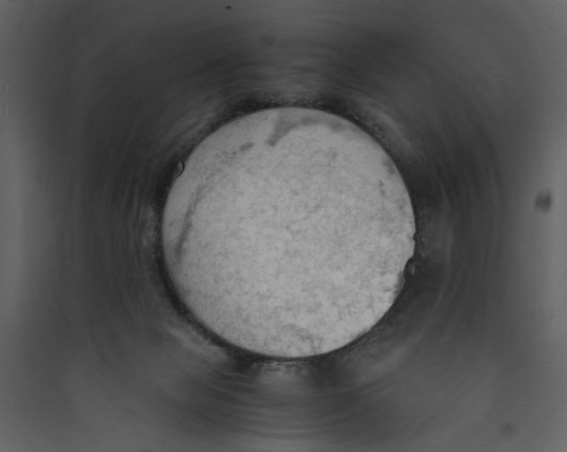 X0000089370077200707131646