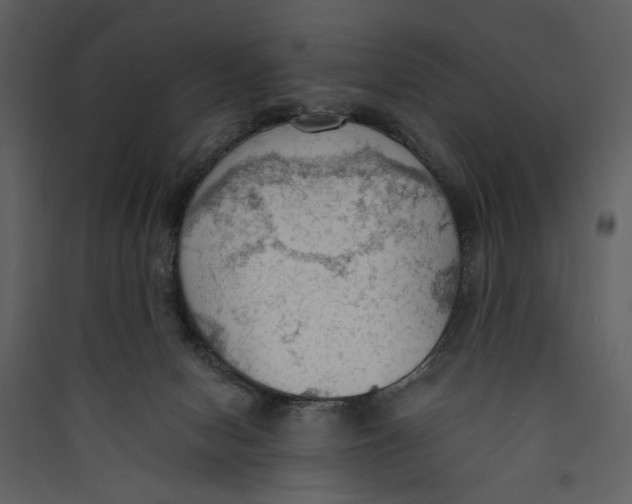 X0000089370078200707131646