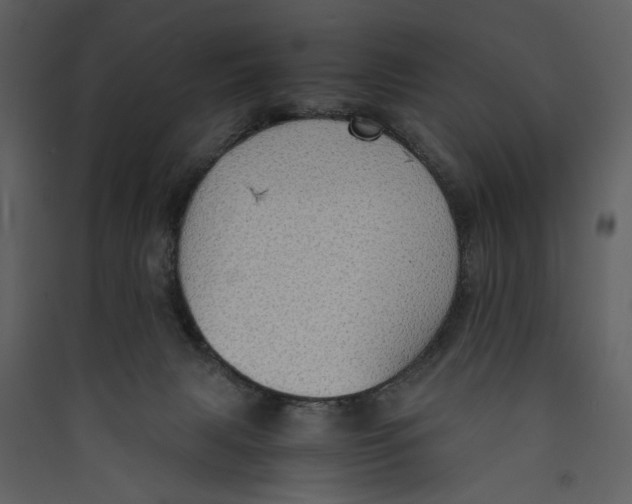 X0000089370079200707131646