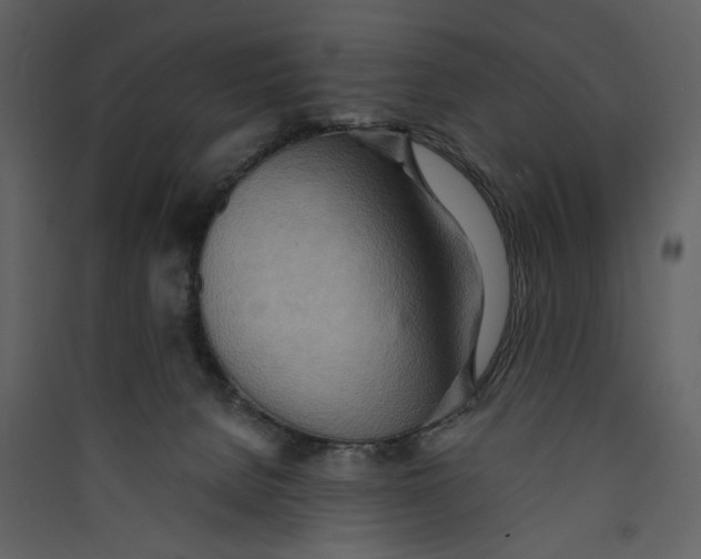 X0000089370080200707131646