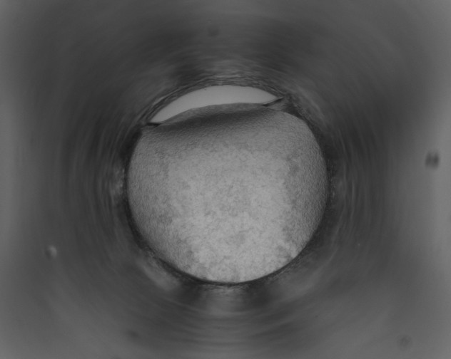 X0000089370081200707131646