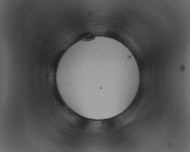 X0000089370083200707131646