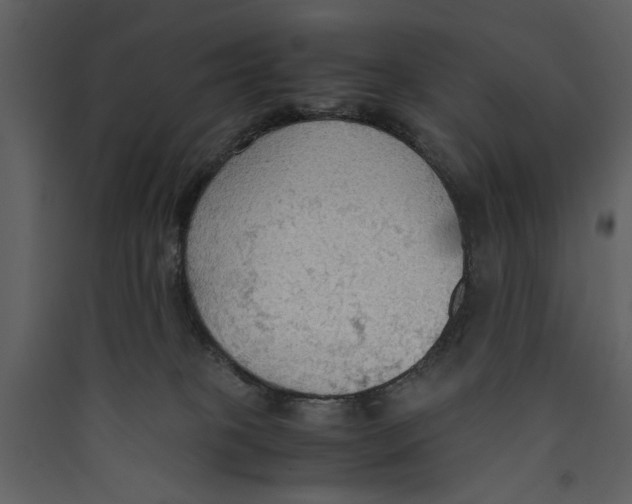 X0000089370085200707131646