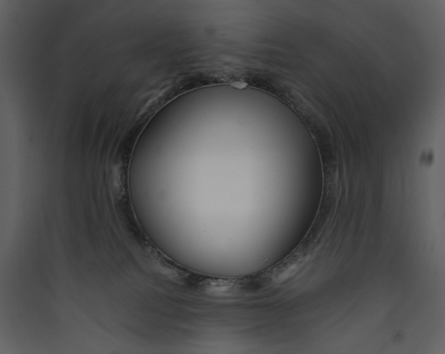 X0000089370088200707131646