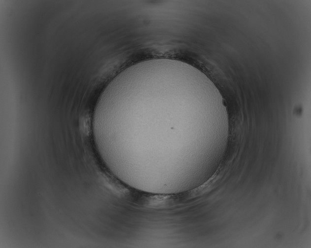 X0000089370090200707131646