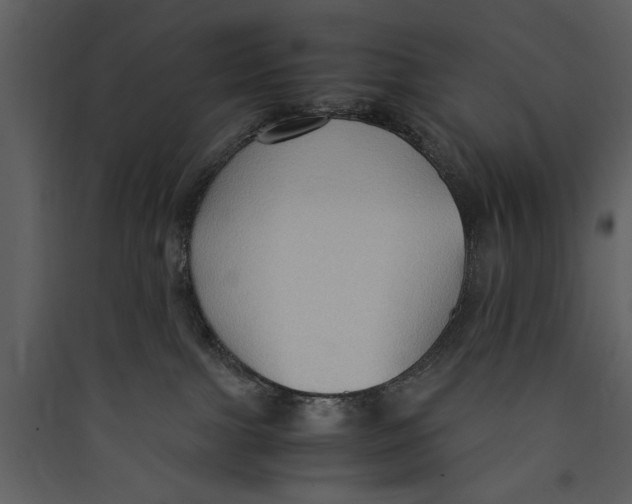 X0000089370091200707131646