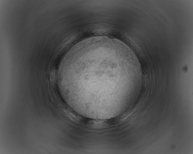 X0000089370093200707131646