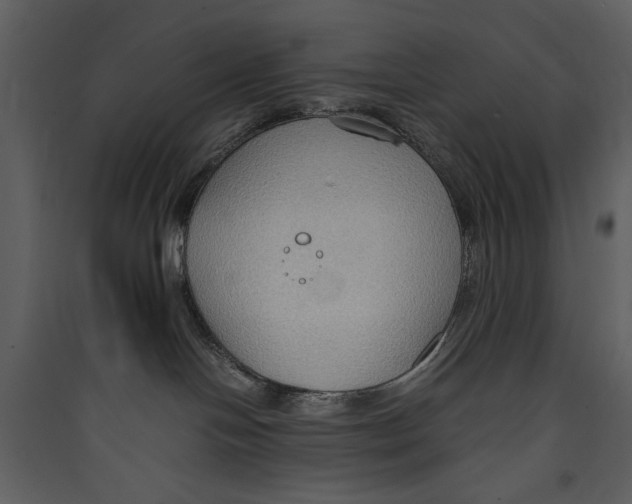 X0000089370094200707131646