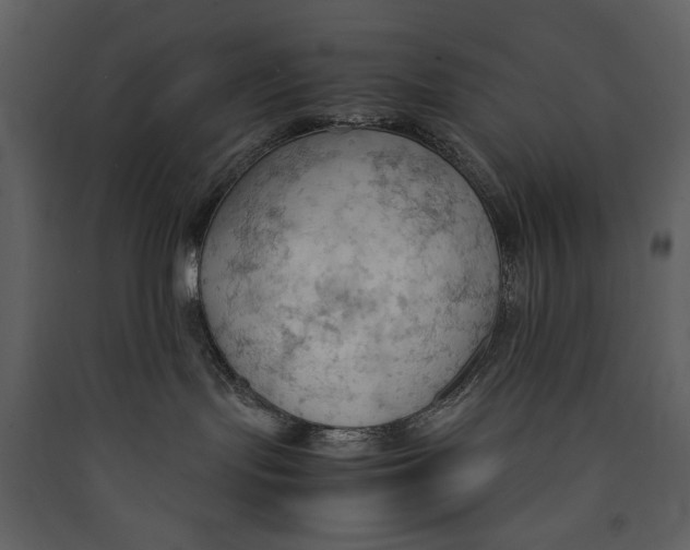 X0000089370095200707131646