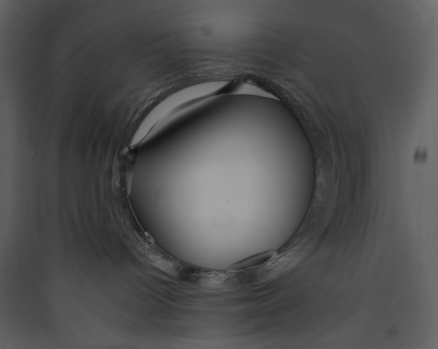 X0000089370096200707131646