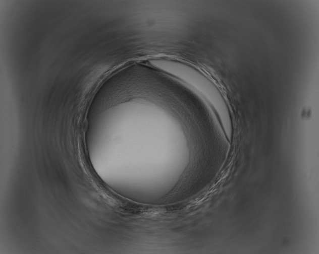 X0000089370097200707131645