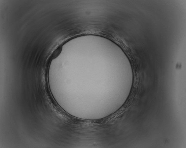 X0000089370098200707131645