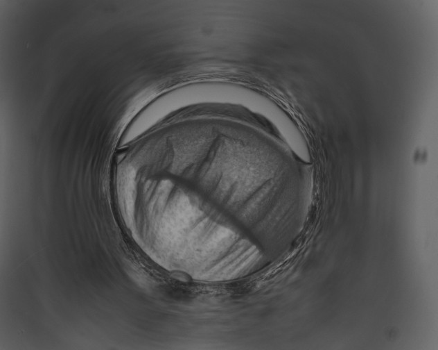 X0000089370099200707131645