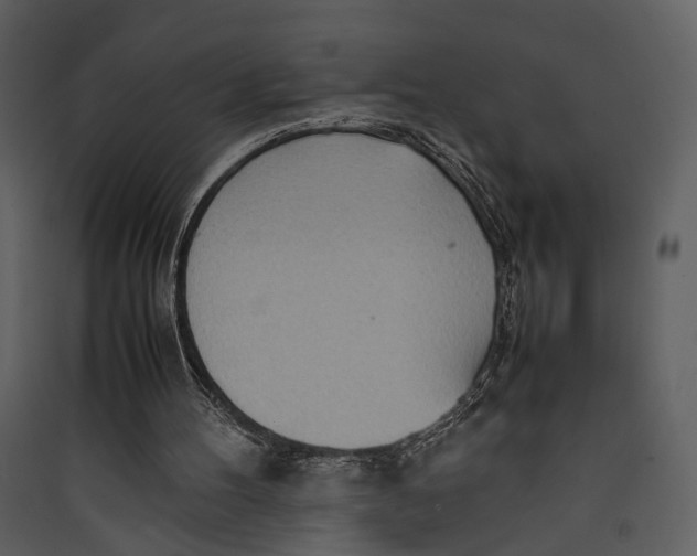 X0000089370100200707131645