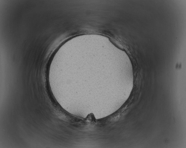 X0000089370103200707131645