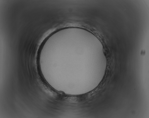 X0000089370104200707131645