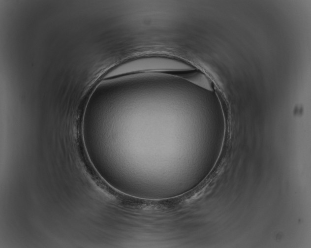 X0000089370105200707131645