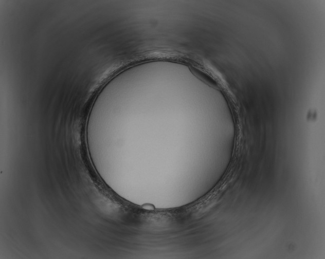 X0000089370106200707131645