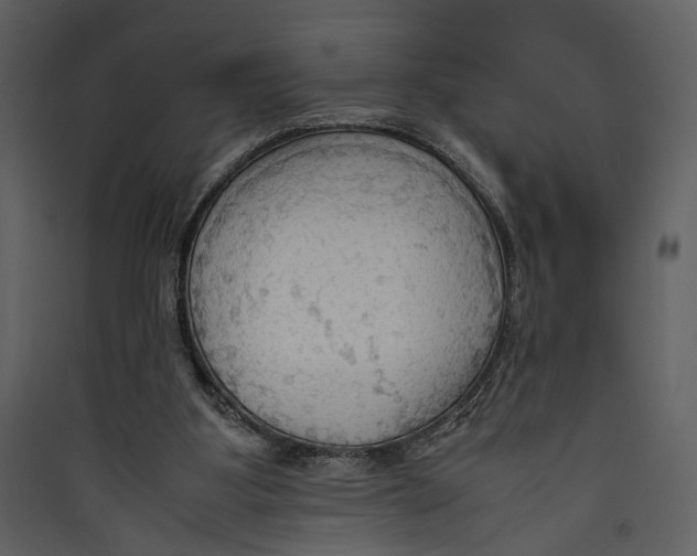 X0000089370107200707131645