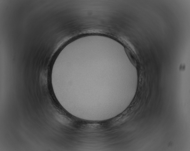 X0000089370108200707131645