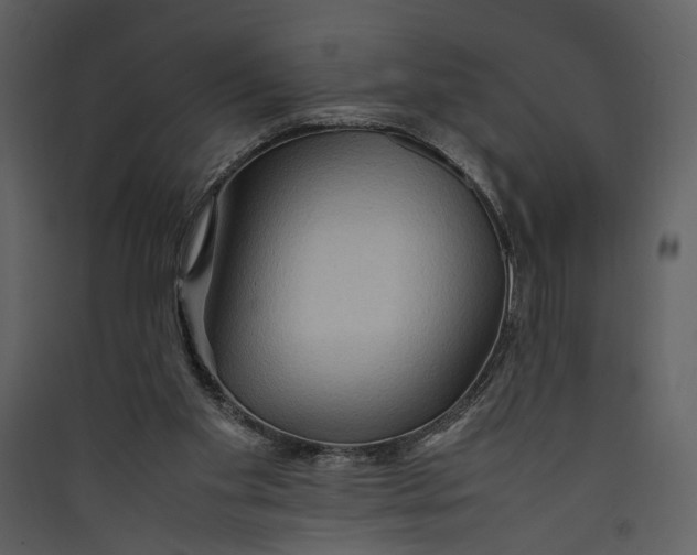 X0000089370109200707131645