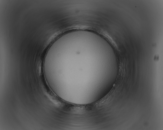 X0000089370110200707131645