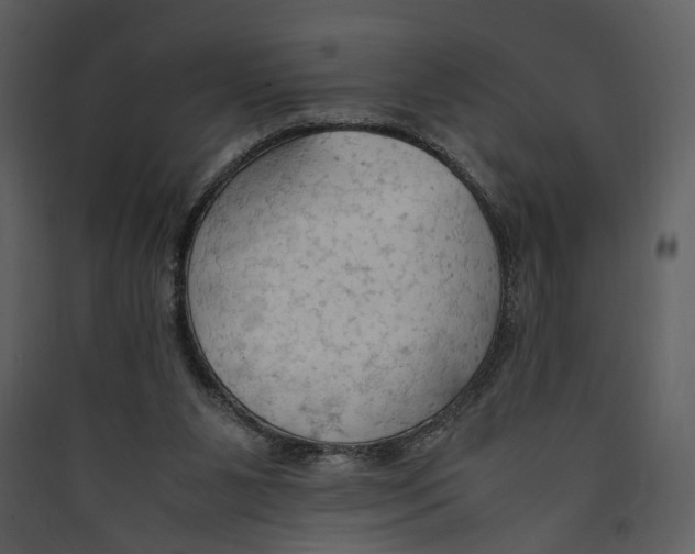 X0000089370111200707131645