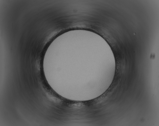 X0000089370112200707131645