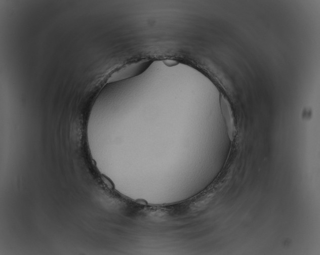 X0000089370113200707131645