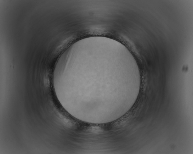 X0000089370114200707131645