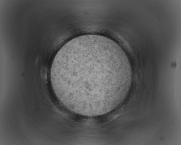 X0000089370115200707131645