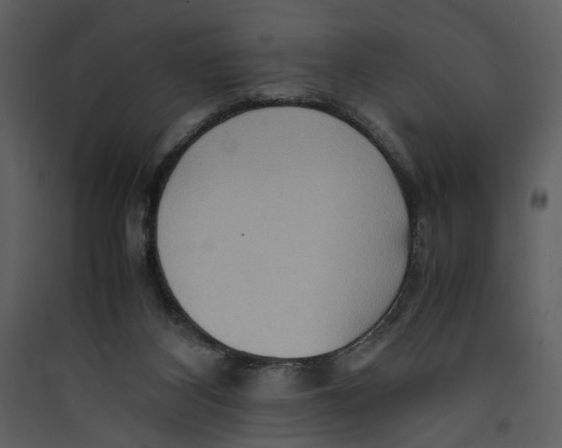 X0000089370116200707131645