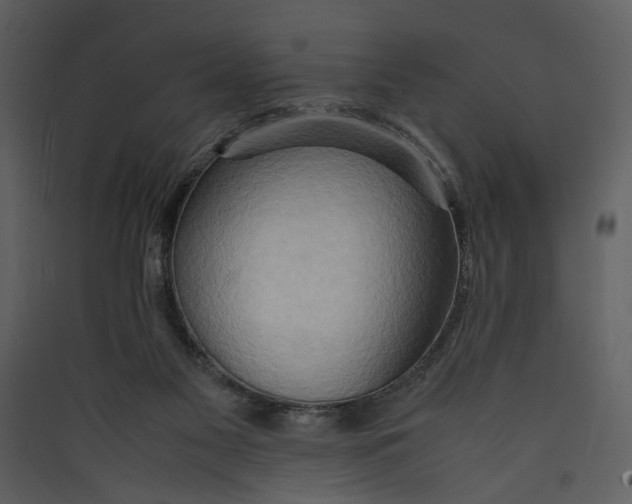 X0000089370117200707131645