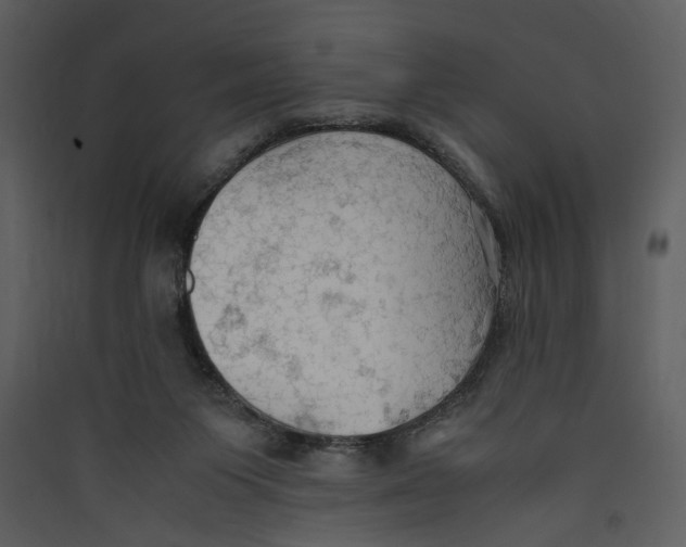 X0000089370119200707131645