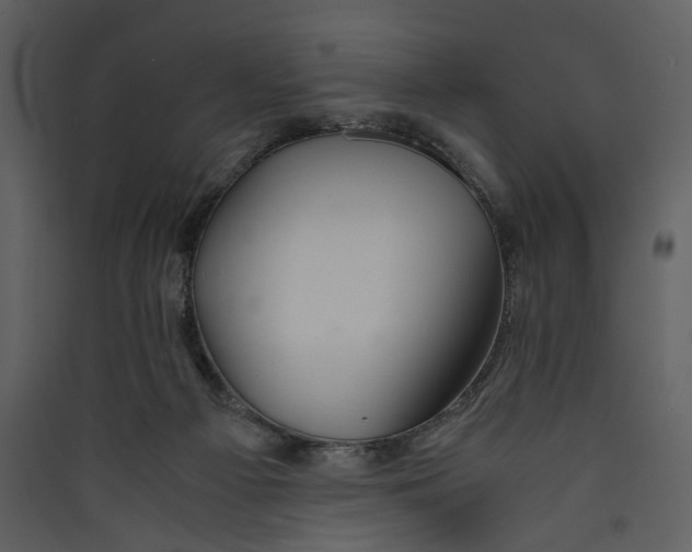 X0000089370121200707131645