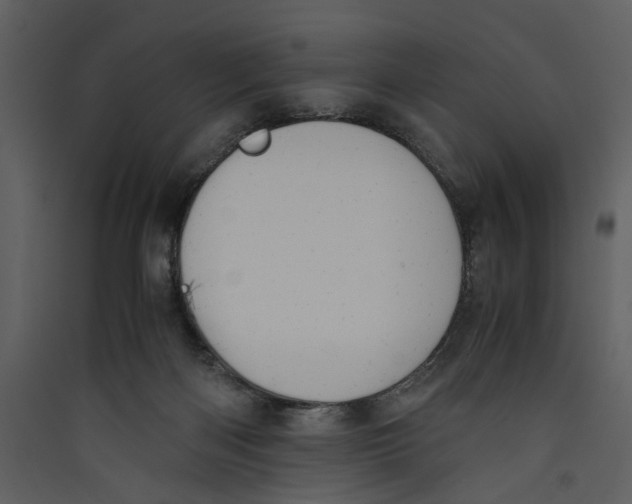 X0000089370122200707131645