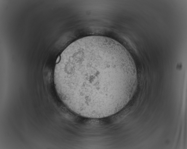 X0000089370123200707131645