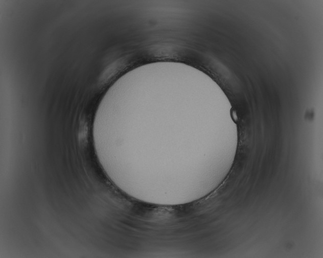 X0000089370124200707131645