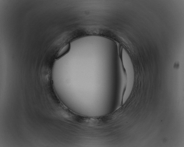 X0000089370125200707131645