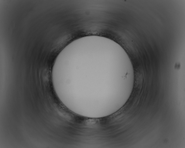 X0000089370126200707131645