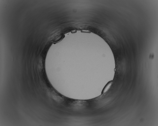 X0000089370128200707131645