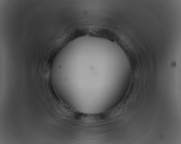 X0000089370129200707131645