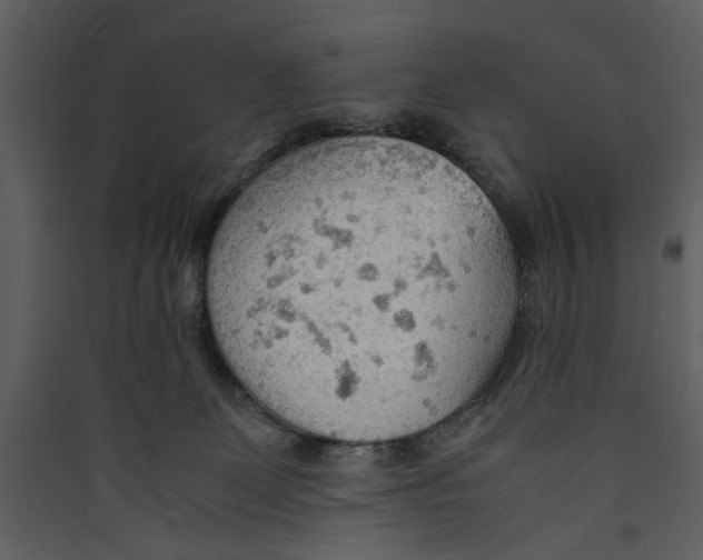 X0000089370131200707131645