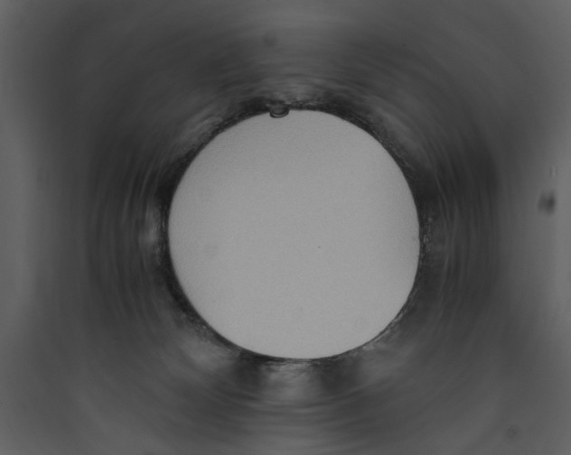 X0000089370132200707131645